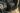 Triumph Scrambler 400 XC MotorXpert.ro